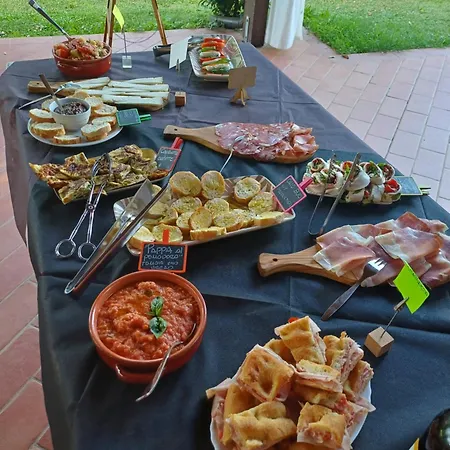 Agriturismo Terre Di Toscana Farm stay Terricciola