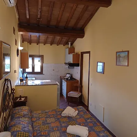 Agriturismo Terre Di Toscana Farm stay Terricciola